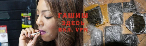 шишки Арсеньев