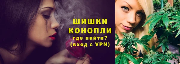 шишки Арсеньев