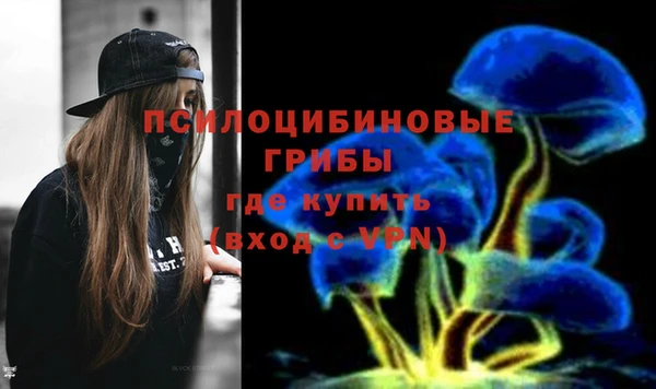шишки Арсеньев