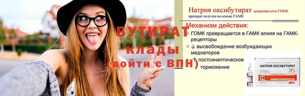 шишки Арсеньев