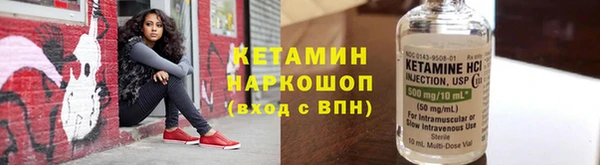 шишки Арсеньев