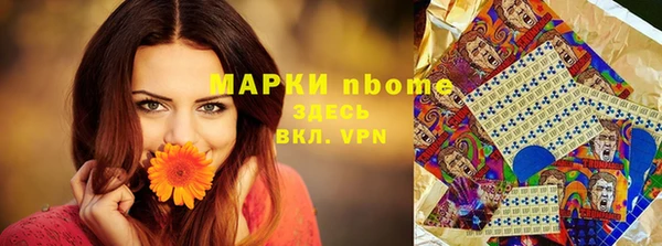 прущие грибы Баксан